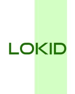 LOKID Store